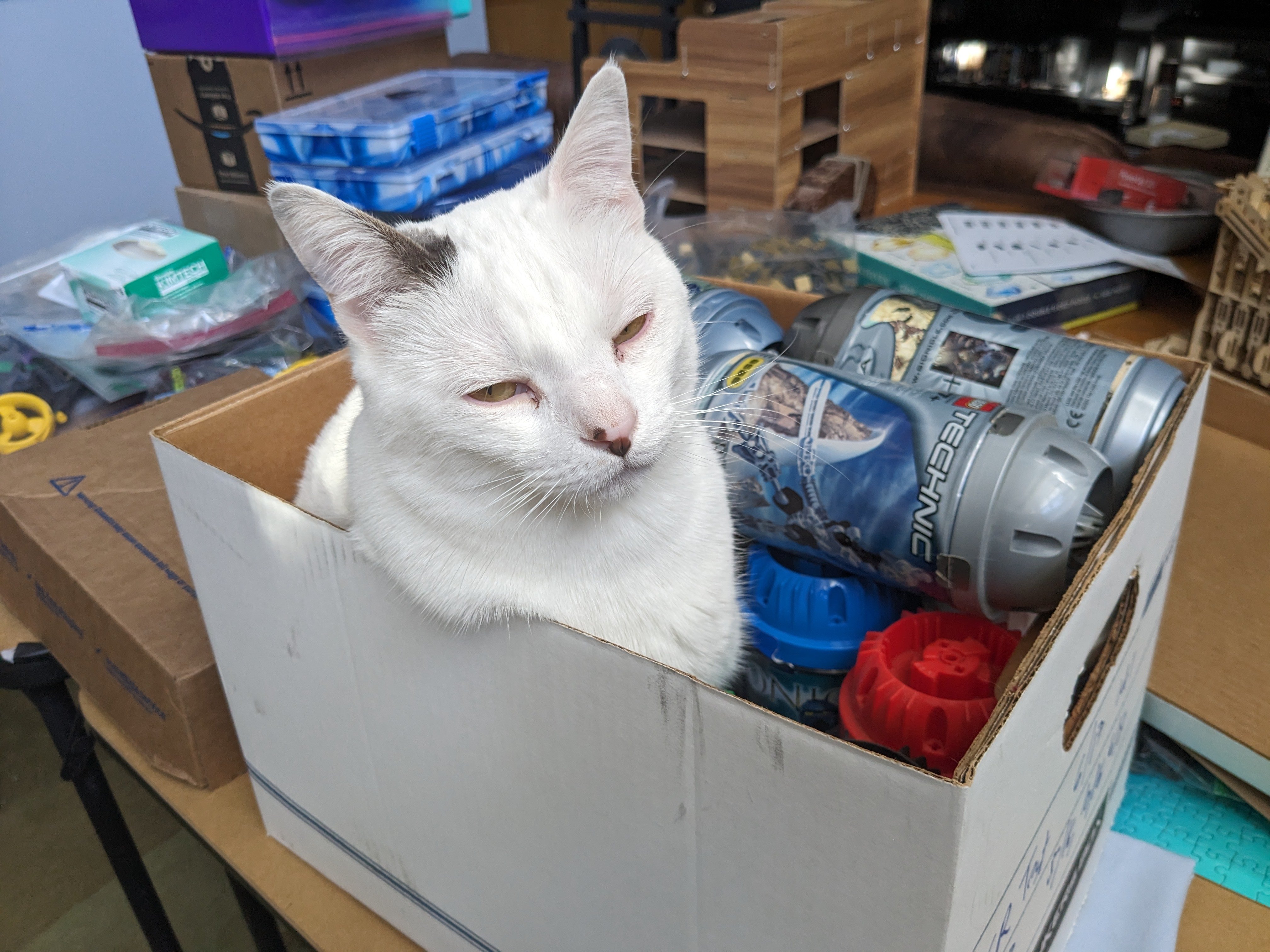 White cat with eyes half closed sitting in a box with Bionicle canisters