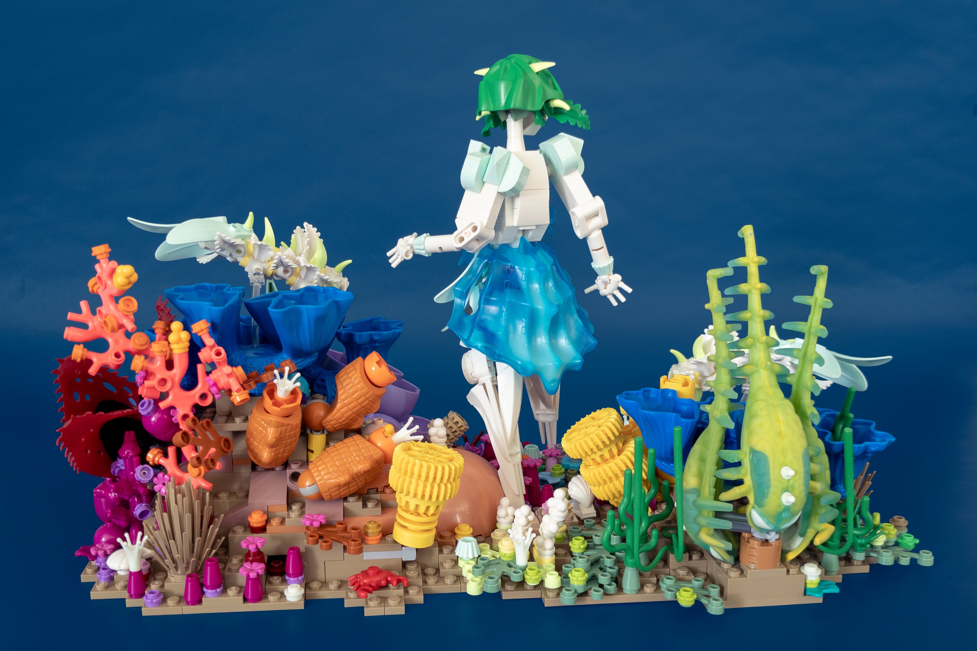 Back of the scene with a full rainbow of coral, plants, and sponges