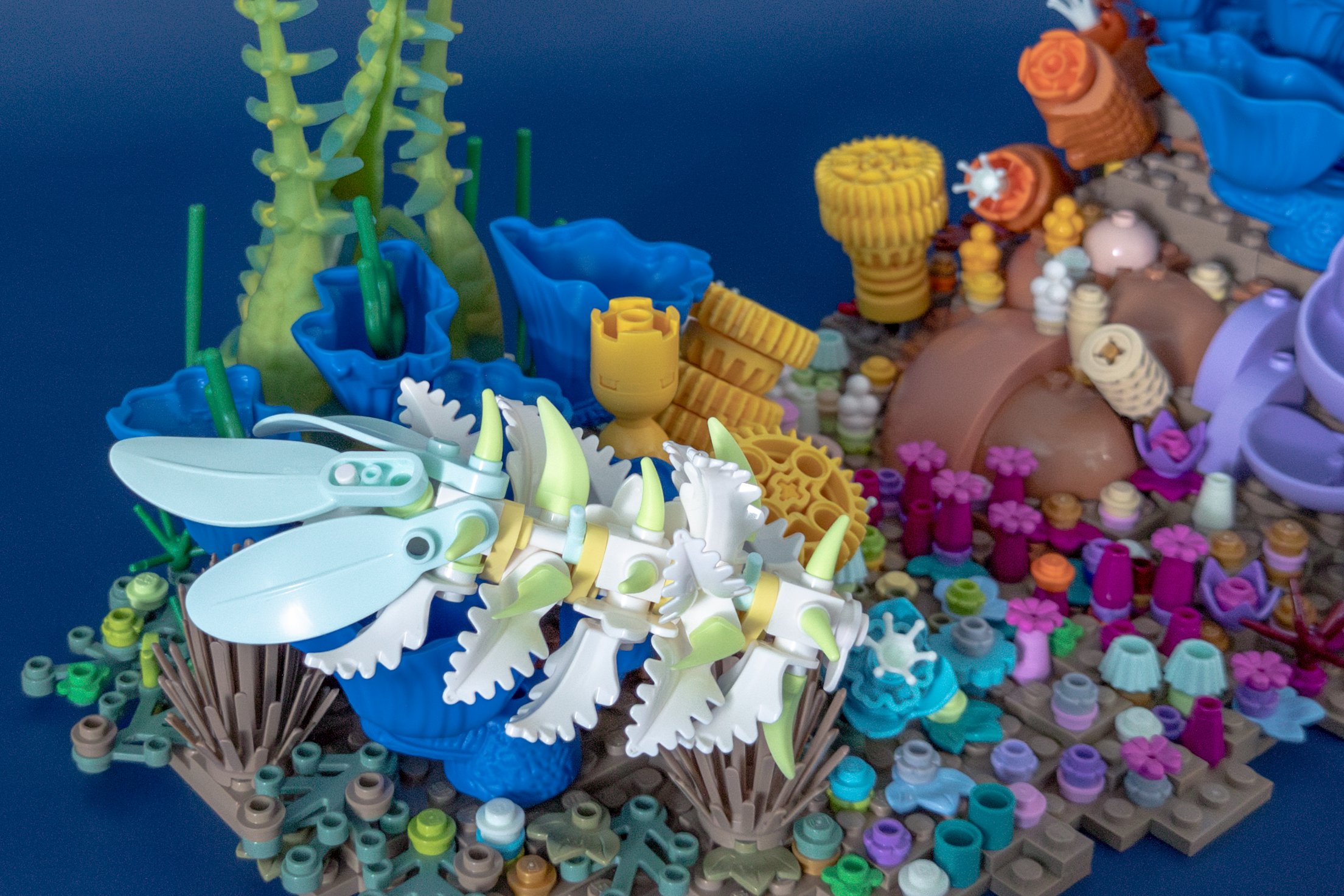 A dirona swimgs among sponges and seagrass
